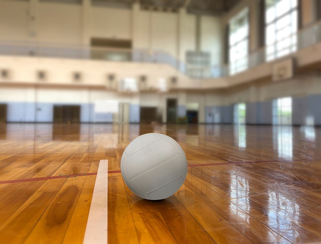 volleyball 609